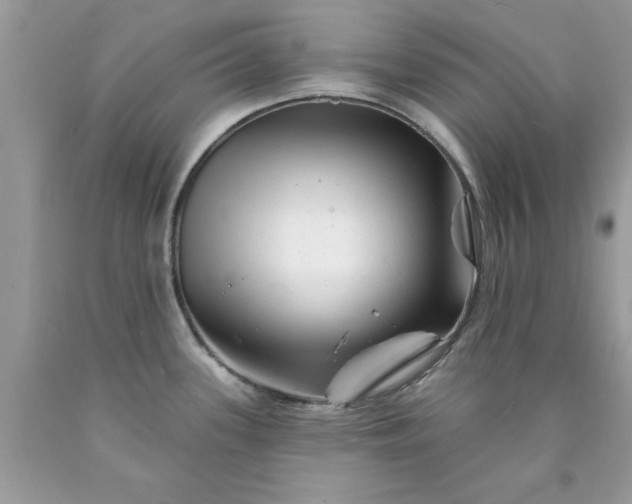 X0000090481339200707272311