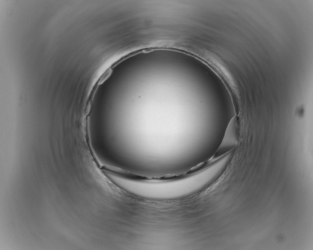 X0000090481340200707272311