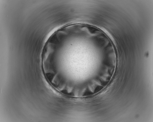 X0000090481341200707272311