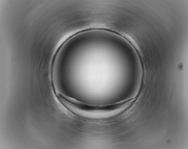 X0000090481342200707272311