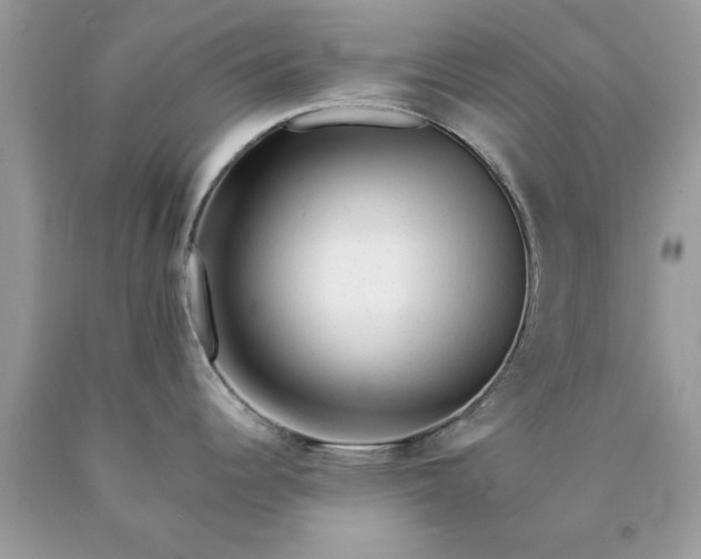 X0000090481344200707272311