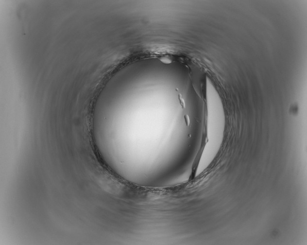 X0000090481345200707272310