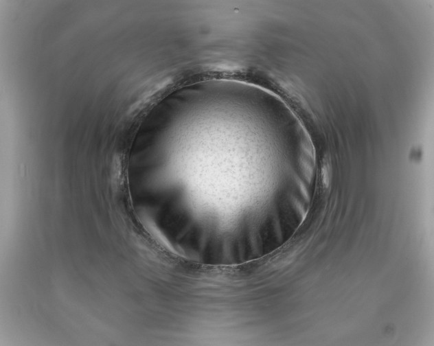 X0000090481347200707272310