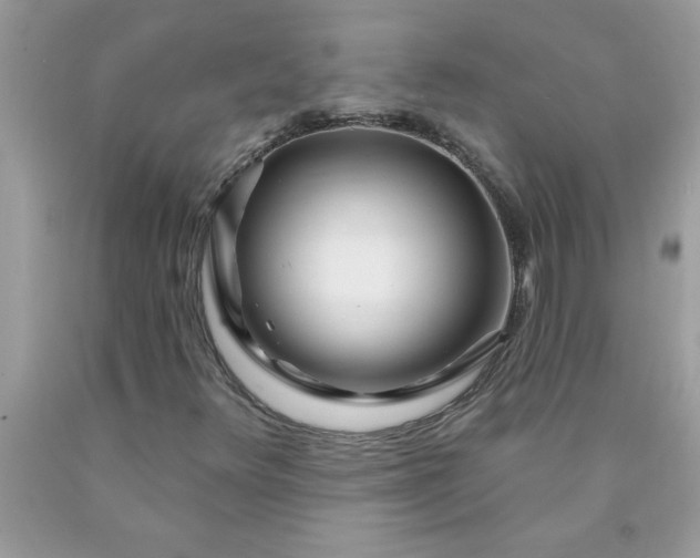 X0000090481348200707272310