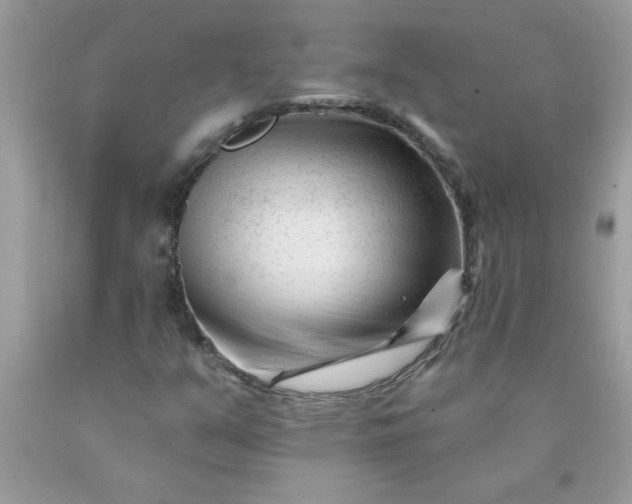 X0000090481351200707272310