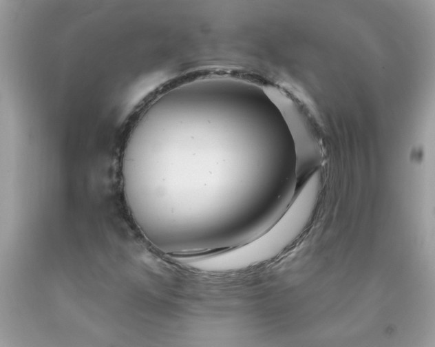 X0000090481352200707272310