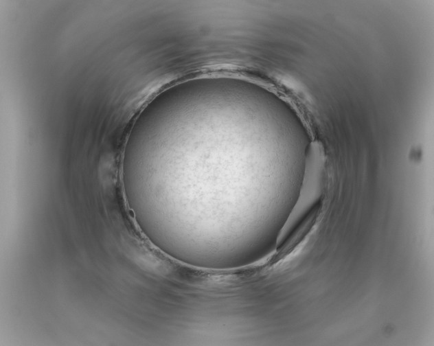 X0000090481353200707272310