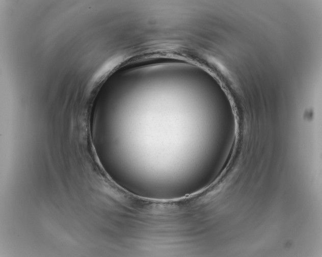 X0000090481354200707272310