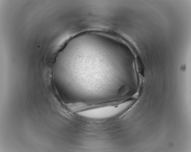 X0000090481355200707272310