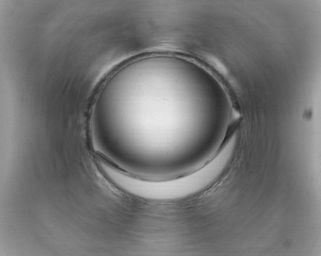 X0000090481356200707272310