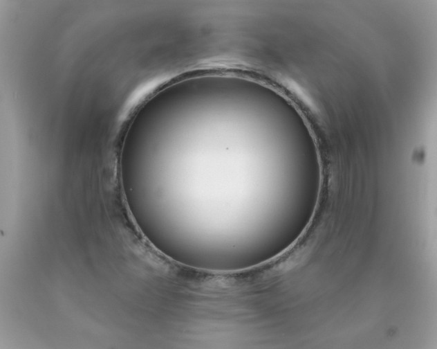 X0000090481358200707272310