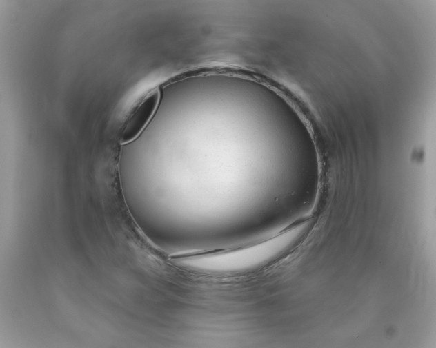 X0000090481359200707272310