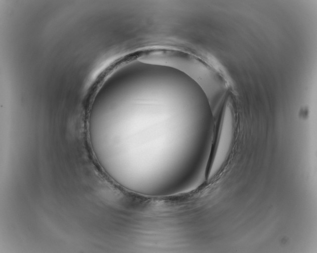 X0000090481360200707272310