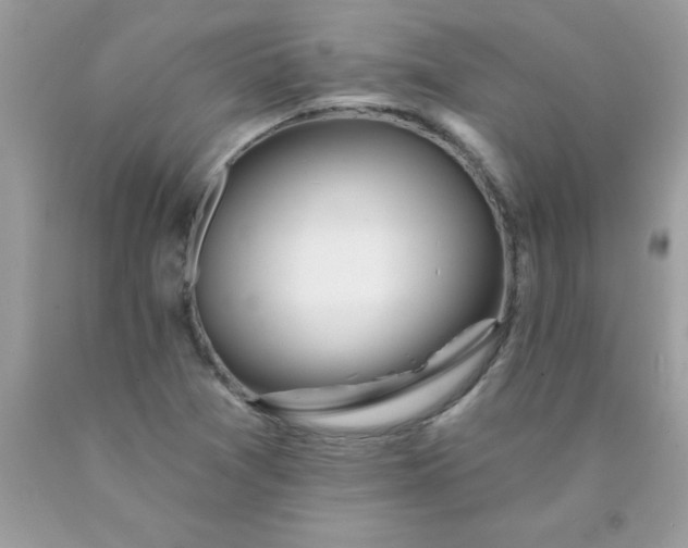 X0000090481361200707272310