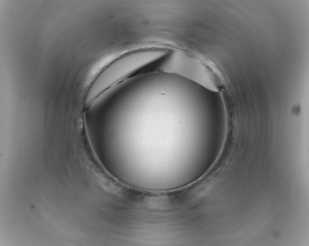 X0000090481363200707272310