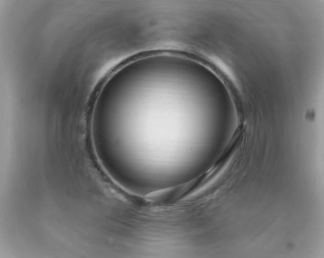 X0000090481364200707272310