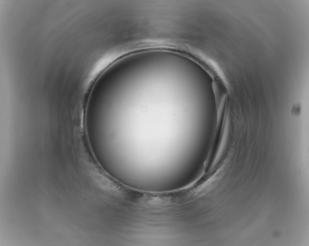 X0000090481365200707272310