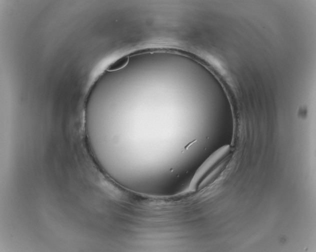 X0000090481366200707272310