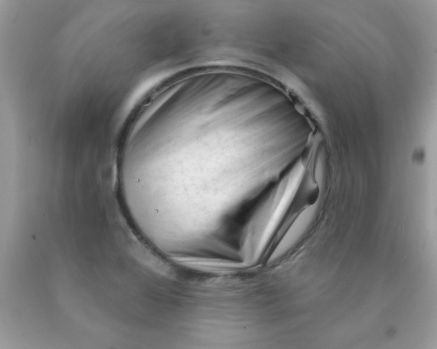 X0000090481368200707272310