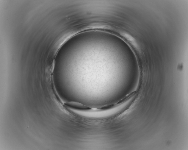 X0000090481369200707272310