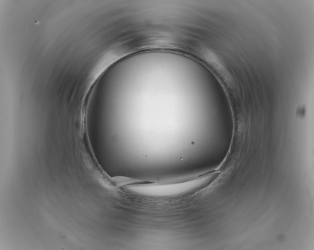 X0000090481370200707272310