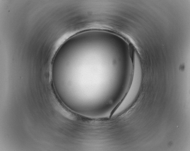 X0000090481371200707272310