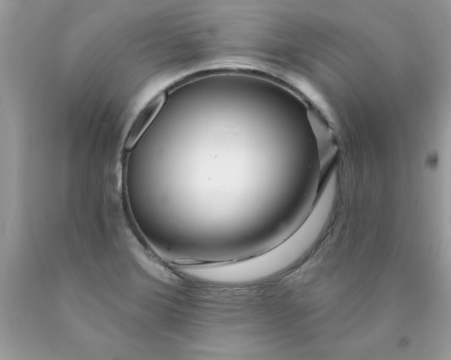 X0000090481372200707272310