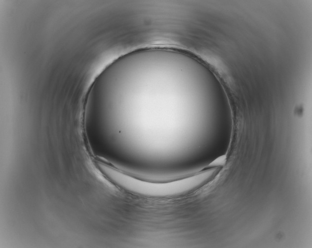 X0000090481374200707272310