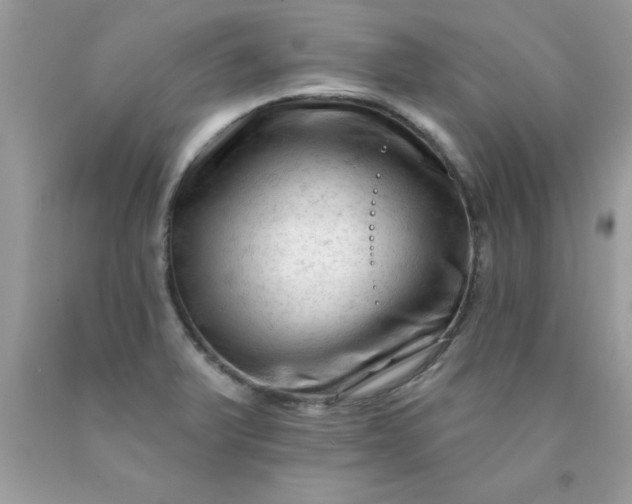 X0000090481375200707272310