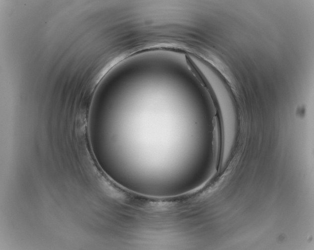 X0000090481377200707272310