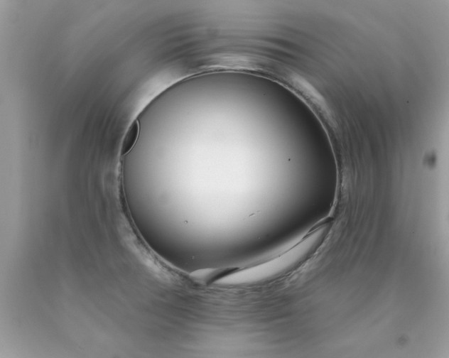 X0000090481378200707272310