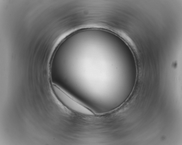 X0000090481380200707272310