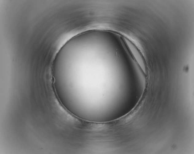 X0000090481382200707272310