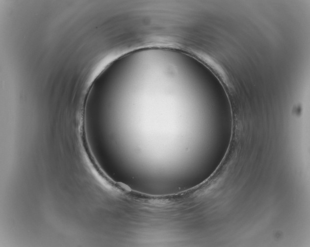 X0000090481383200707272310