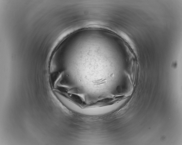 X0000090481384200707272310