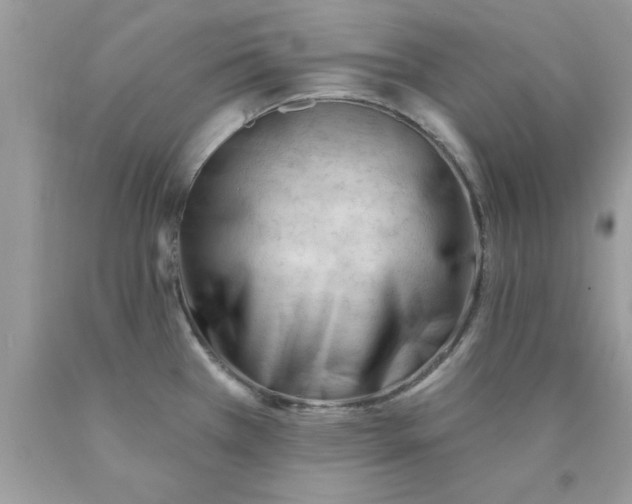 X0000090481385200707272310