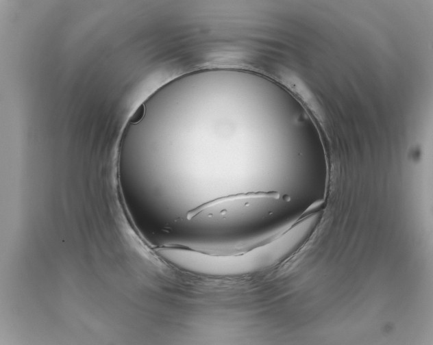 X0000090481386200707272310