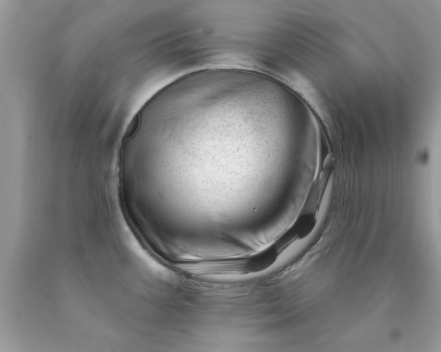 X0000090481387200707272310