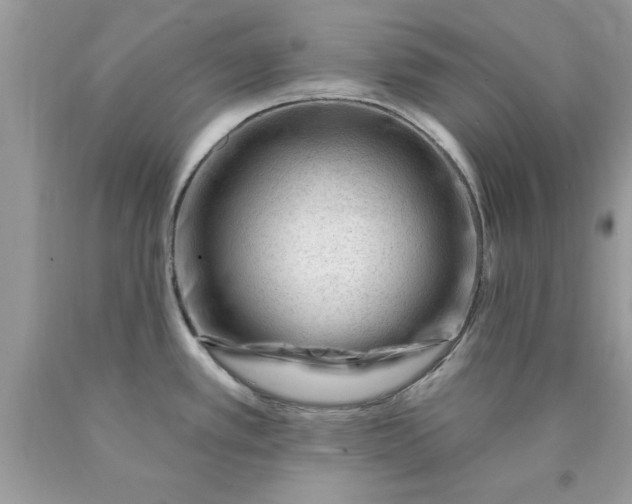 X0000090481389200707272310