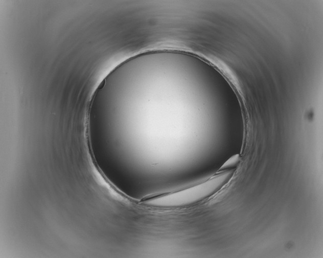 X0000090481390200707272310