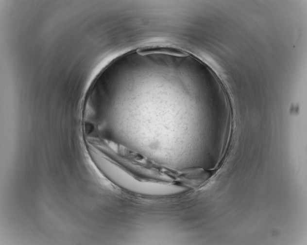 X0000090481392200707272310