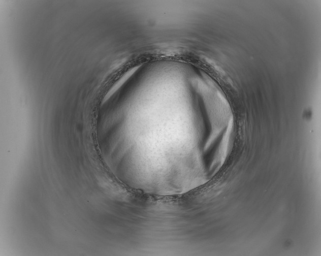 X0000090481393200707272309