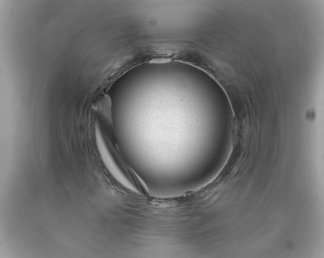 X0000090481394200707272309