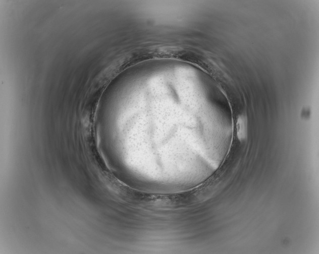 X0000090481395200707272309