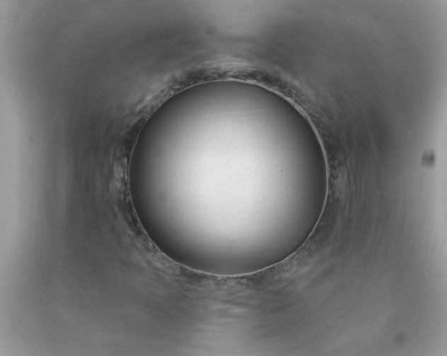 X0000090481397200707272309