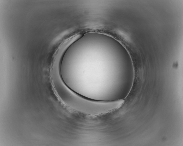 X0000090481398200707272309