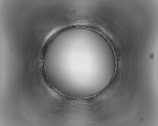 X0000090481400200707272309