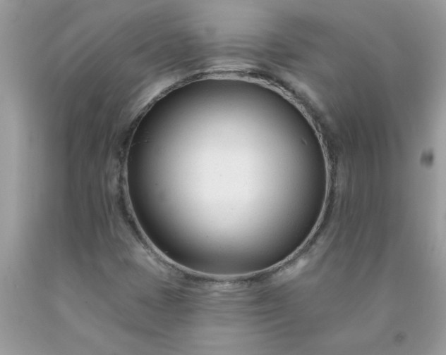 X0000090481401200707272309