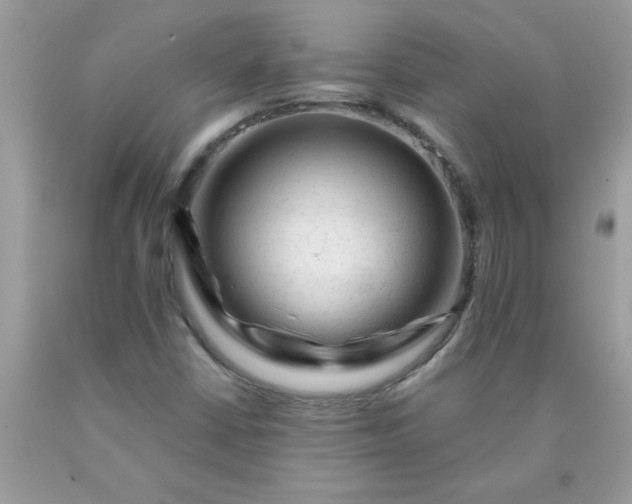 X0000090481402200707272309