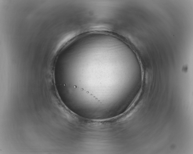 X0000090481405200707272309